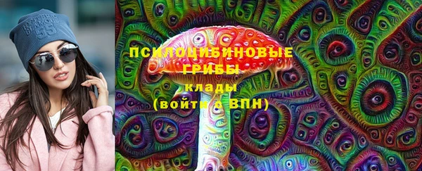 твердый Алзамай