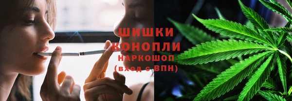 PSILOCYBIN Абаза