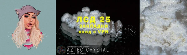 PSILOCYBIN Абаза