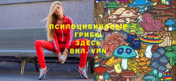 твердый Алзамай