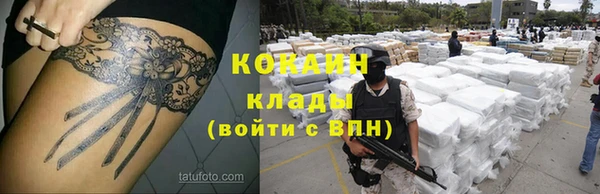 спиды Абинск