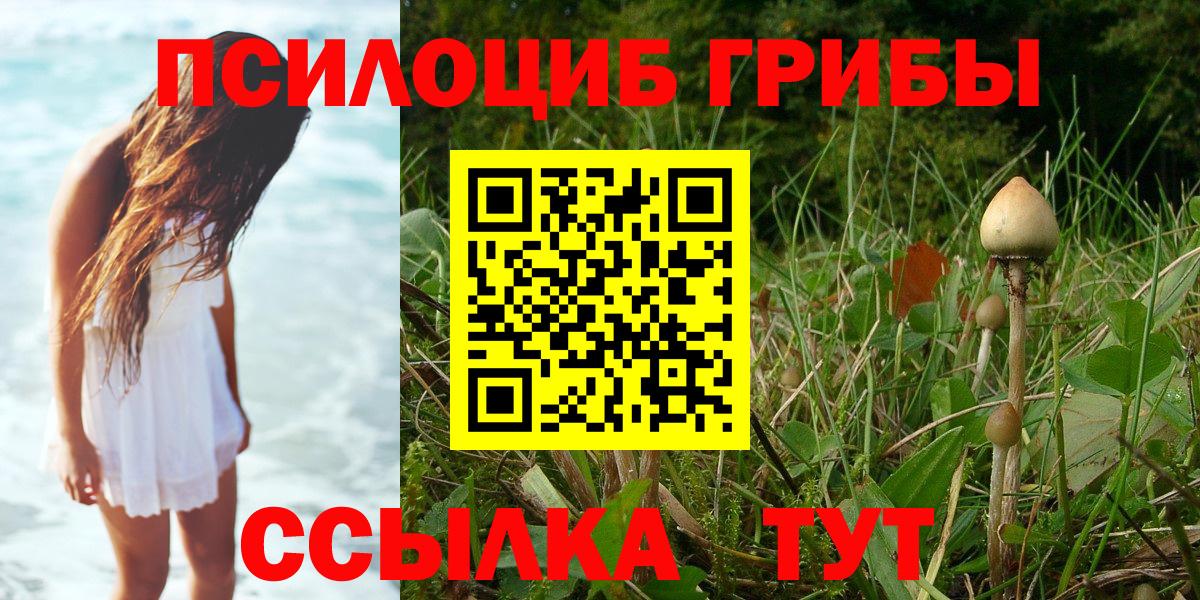Псилоцибиновые грибы мицелий Переславль-Залесский